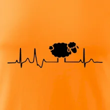 EKG černá ovečka