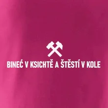 BINEĆ V KSICHTĚ A ŠTĚSTÍ V KOLE﻿