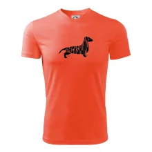 Jezevčík - Dachshund