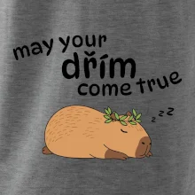 May your dřím come true