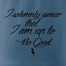 I solemnly swear that I'm up to no good
