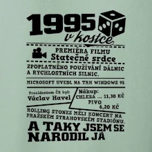 1995 v kostce