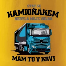Stát se kamioňákem nebyla moje volba