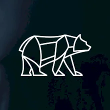 Geometrie lední medvěd chodící