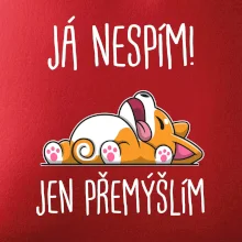 Já nespím, jen přemýšlím