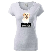 Lump a darebák labrador