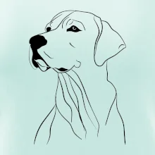 Labrador černá kresba