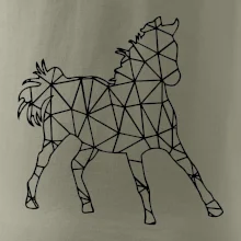 Geometrie - kůň jednobarevná