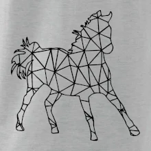 Geometrie - kůň jednobarevná