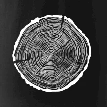 Letokruhy 55 bez věku