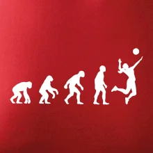 Evoluce volejbal culík