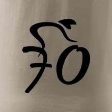 Cyklista slaví sedmdesátku (70)