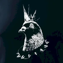 Holub punk Holub punk