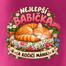 Nejlepší babička a kočičí máma spící zrzavý kocour