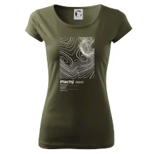 Plechý - vrstevnice v obdélníku