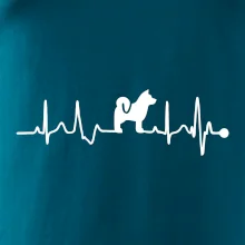 Shiba-Inu EKG Shiba-Inu EKG