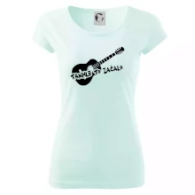 Kytara, takhle to všechno začalo