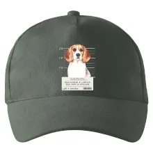 Lump a darebák bígl