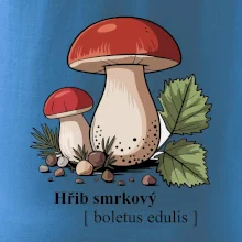 Hřib smrkový - Boletus edulis kreslený