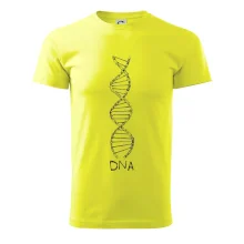 Cyklistovo DNA