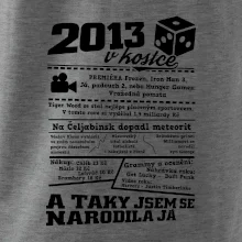 2013 v kostce