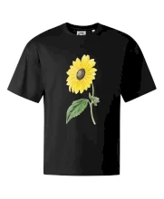 Slunečnice otočená