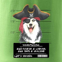 Lump a darebák husky