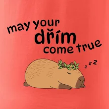 May your dřím come true