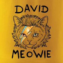 David Meowie