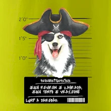Lump a darebák husky