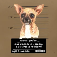 Lump a darebák čivava