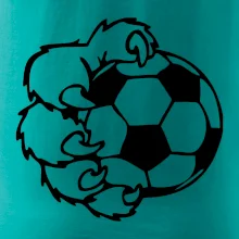 Medvědí tlapa fotbal