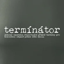 Čeština 2.0 - termínátor