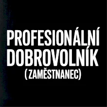 PROFESIONÁLNÍ DOBROVOLNÍK (zaměstnanec)