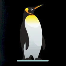 Tučňák se žlutou nákrčenkou