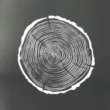 Letokruhy 40 bez věku