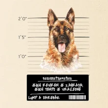 Lump a darebák - Německý ovčák