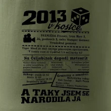 2013 v kostce
