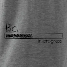 In progress  titul Bc. bakalář / bakalářka