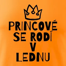 Princové se rodí v lednu