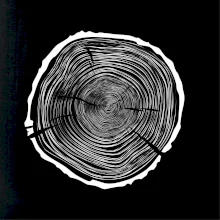 Letokruhy 75 bez věku