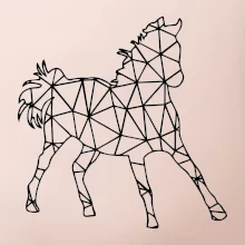 Geometrie - kůň jednobarevná