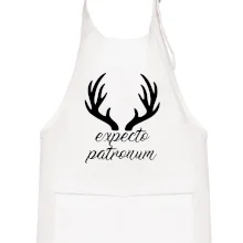 Harry - Expecto patronum Harry - Expecto patronum