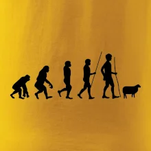 Evoluce pastevec ovcí