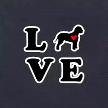 Lagotto romagnolo LOVE