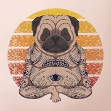 Yoga meditace - pug