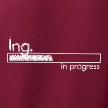 In progress  titul Ing. inženýr / inženýrka