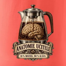 Anatomie učitele deset procent mozek devadesát káva