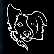 Border kólie obrys hlavy