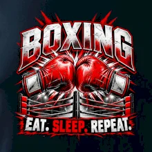 Boxerské rukavice v ringu eat sleep repeat